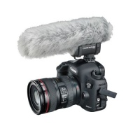 dslr_mics